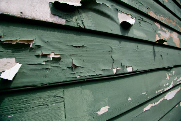 Best Dumpster Rental Services  in Danville, CA