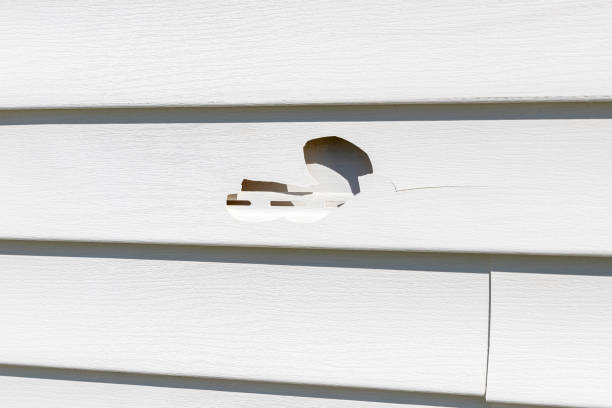 Best Foreclosure Cleanout  in Danville, CA